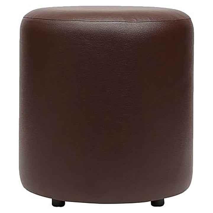 Mary Ottoman In Brown