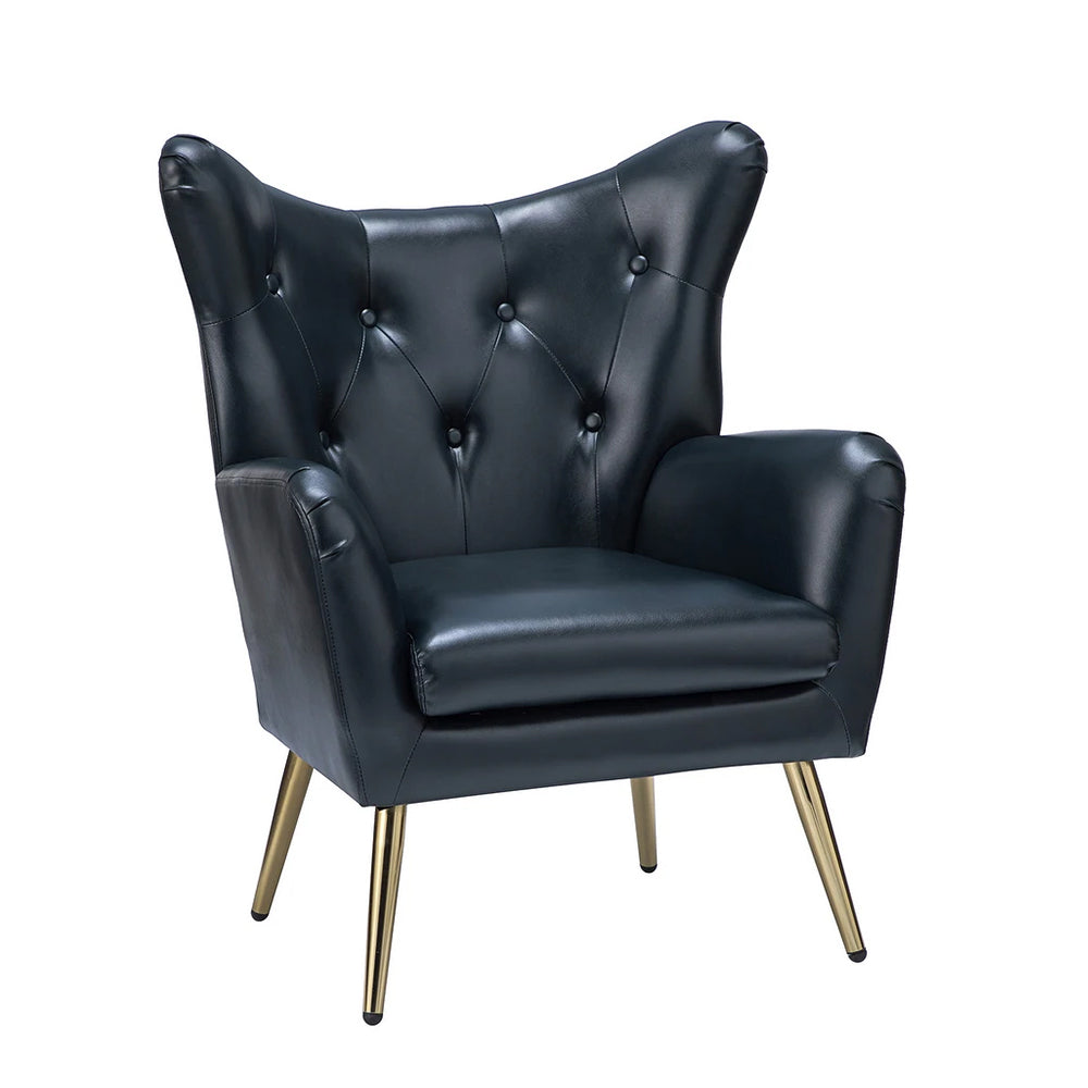 Haddly Lounge Chairs| Black