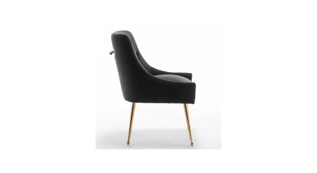 Asul Accent Chair Black | Designer Accent Chair Matte Black