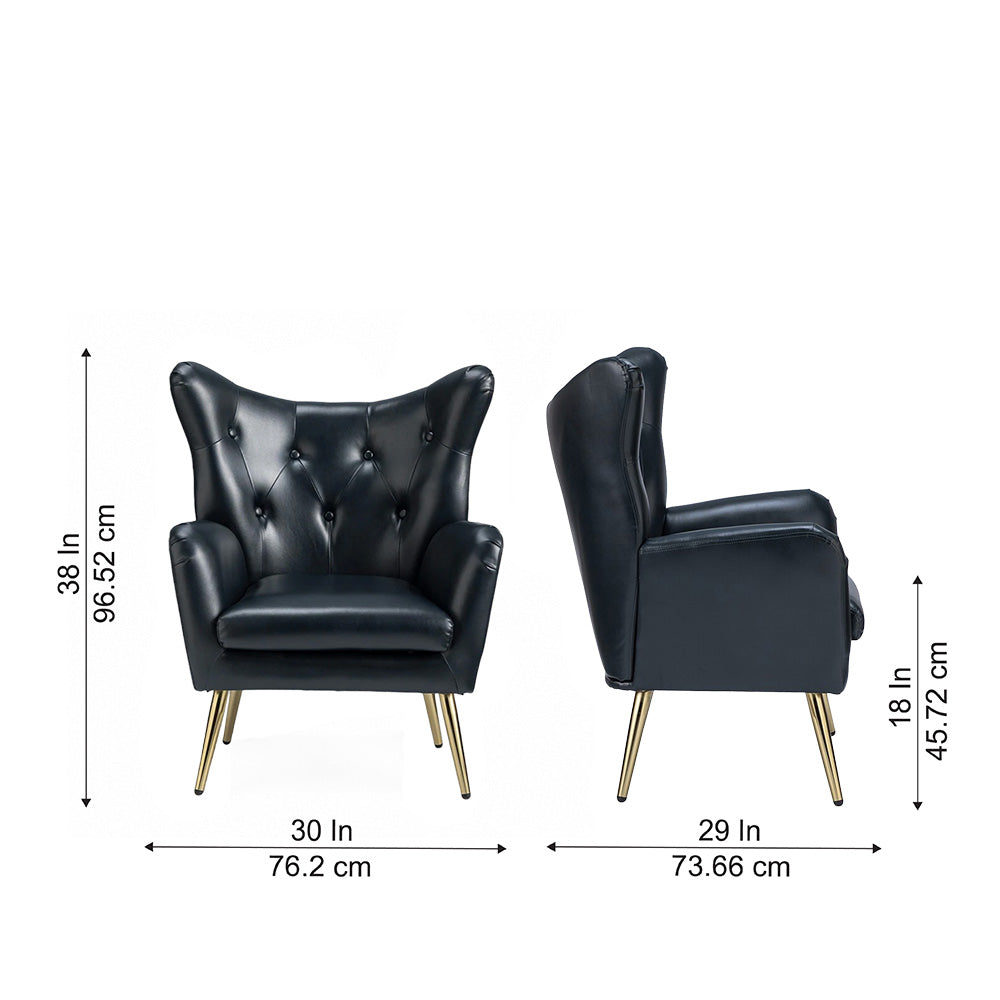 Haddly Lounge Chairs| Black