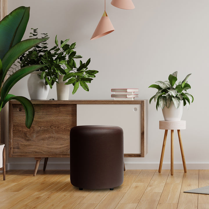 Mary Ottoman In Brown
